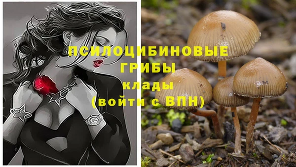 гашиш Абинск