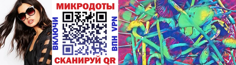 Псилоцибиновые грибы Psilocybe  где продают наркотики  Кингисепп 