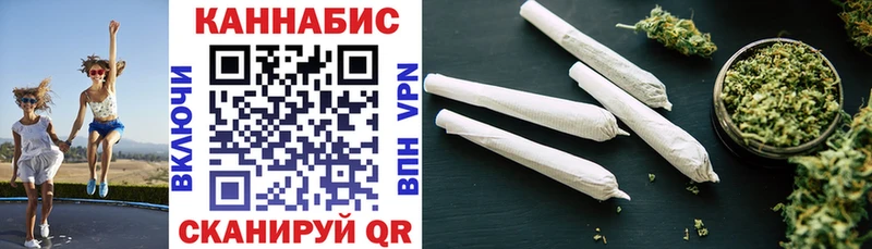 дарнет шоп  Кингисепп  Шишки марихуана план 